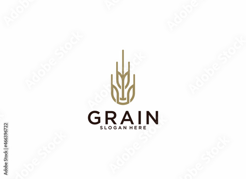 Wheat rice agriculture logo Inspiration template vector in white backgroun