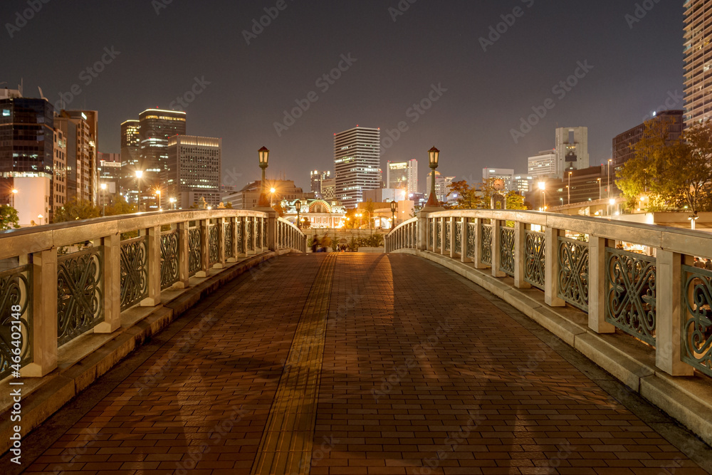大阪中之島・夜の中之島公園バラ園ばらぞの橋