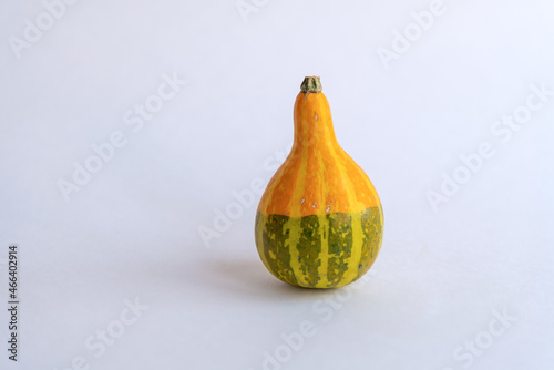Close-up view of Pear-shaped bicolor pumpkin lying on white background. Ornamental pumpkin. Fruit decoration theme. photo