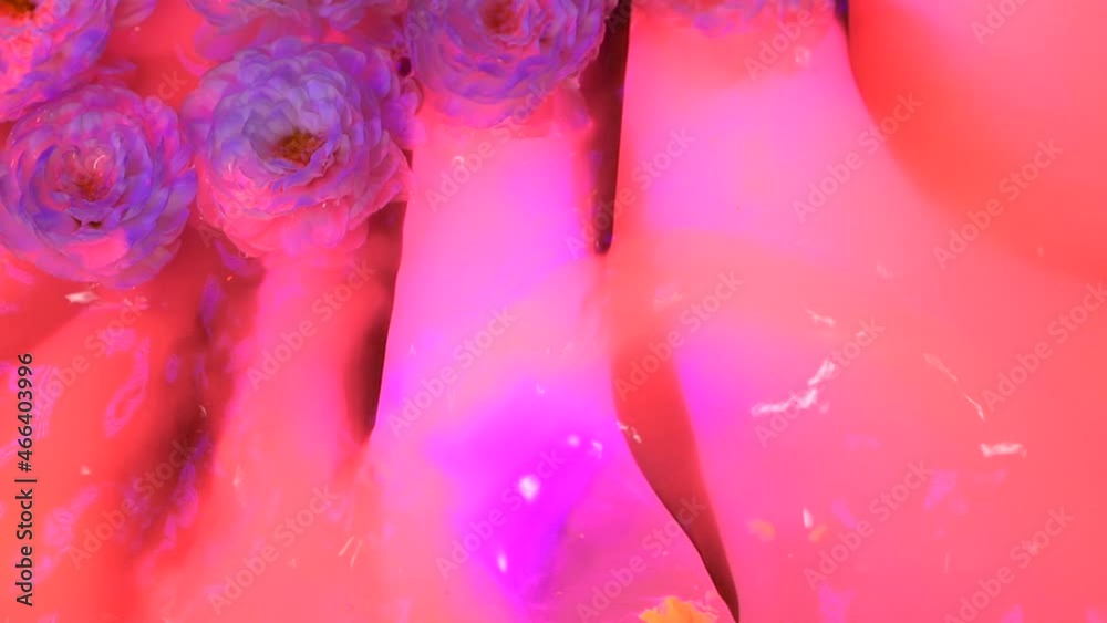 Flowers on neon pink rose background, slow motion water surface ripples, splash Flowers on neon pink rose background, slow motion water surface ripples, splash