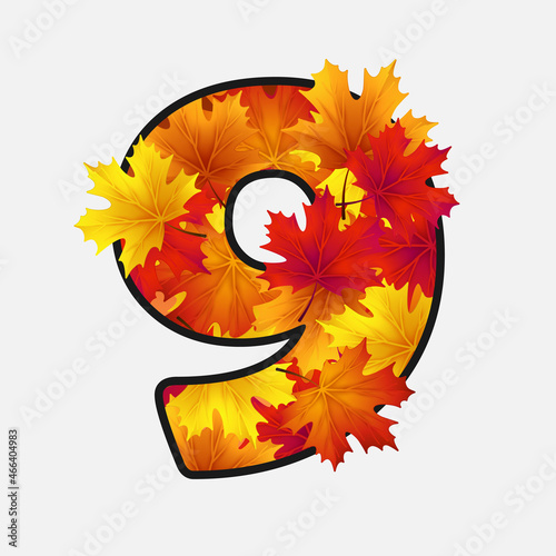The number nine, 9 with red, yellow, orange maple leaves with black border isolated on white background. Vector Holiday illustration for postcard, banner, cards, web, design, advertising.