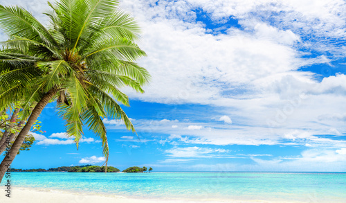 Fototapeta Naklejka Na Ścianę i Meble -  Tropical island beach panorama, green palm tree leaves, turquoise sea water, ocean waves, white sand, sun, blue sky, clouds, exotic nature landscape panoramic view, summer holidays, vacation, travel