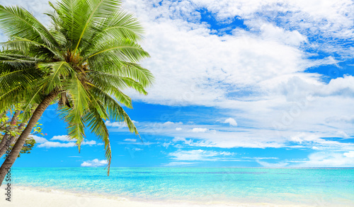 Tropical island beach panorama  green palm tree leaves  turquoise sea water  ocean waves  white sand  sun  blue sky  clouds  exotic nature landscape panoramic view  summer holidays  vacation  travel