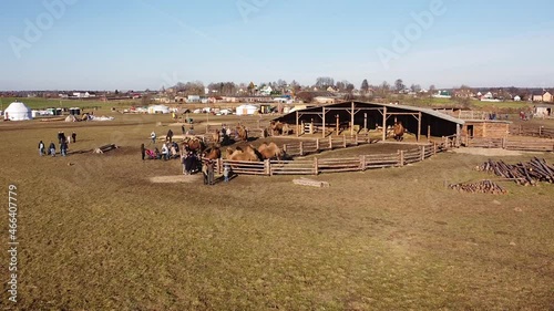 Sergiev Posad, Russia - 30 October 2021: Camel farm ethnopark 