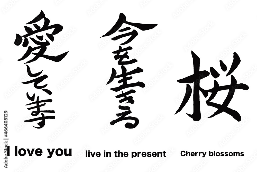 
日本の漢字のデザイン「愛しています」「今を生きる」「桜」


These are Japanese kanji written in calligraphy. 
These mean "I love you , live in the present , Cherry blossoms".

 - obrazy, fototapety, plakaty 