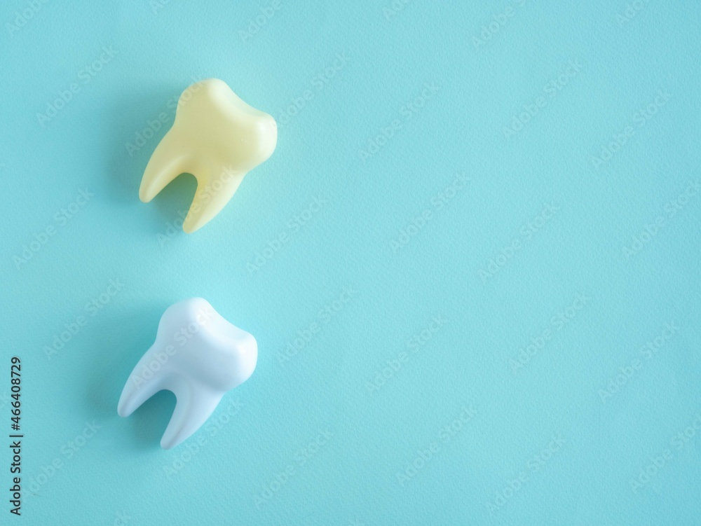 A dummy of two teeth, white and yellow. A dummy of two teeth, white and yellow.