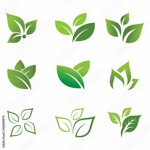 Mint leaves flat vector color icon template illustration design