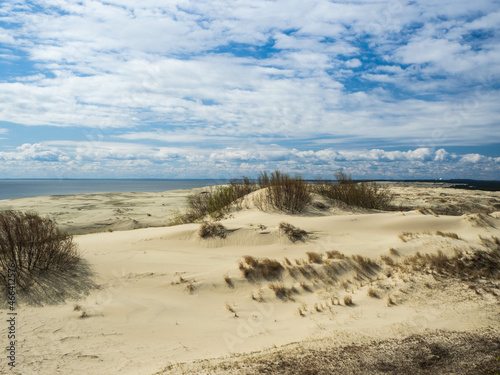 Sand dunes by the sea. Baltic Sea, Kaliningrad region 
