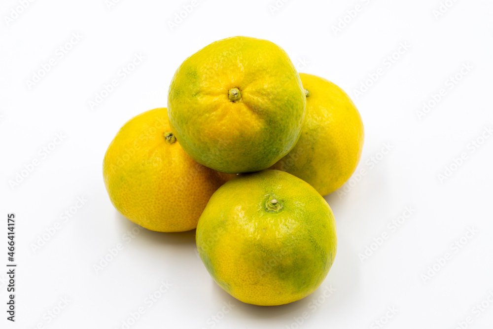 Tangerines on a white background. In combination with a shade of ripe sweet tangerine. close up Tangerines on a white background. In combination with a shade of ripe sweet tangerine. close up