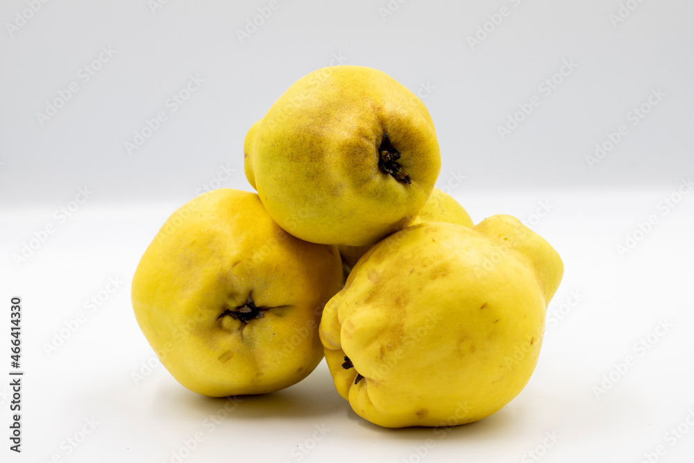 Quince on a white background. In combination with the shade of ripe quince. close-up