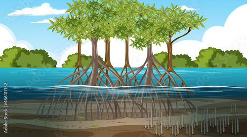 Mangrove forest landscape scene at daytime