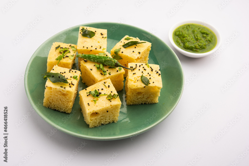 Gujarati Snack Khaman Dhokla Gujarati Snack Khaman Dhokla