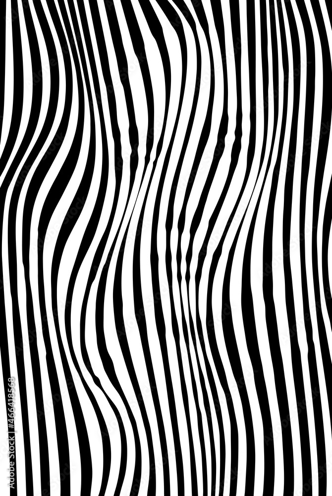Graphic portrait of young beautiful woman makes of black and white lines. Modern abstract geometric style very useable for interior design, landing page,  banner, poster, minimal covers design.