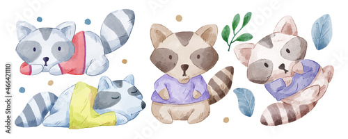 Vector illustration watercolor Set of adorable Raccoon For Your Design.