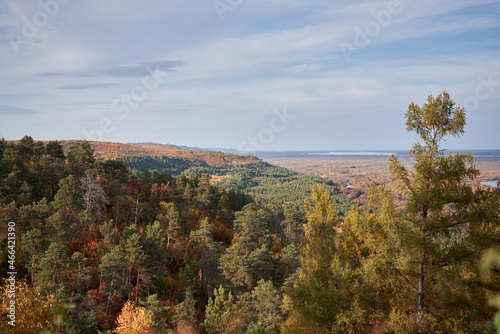 Autumn landscape. Bright and colorful trees in Amur region photo