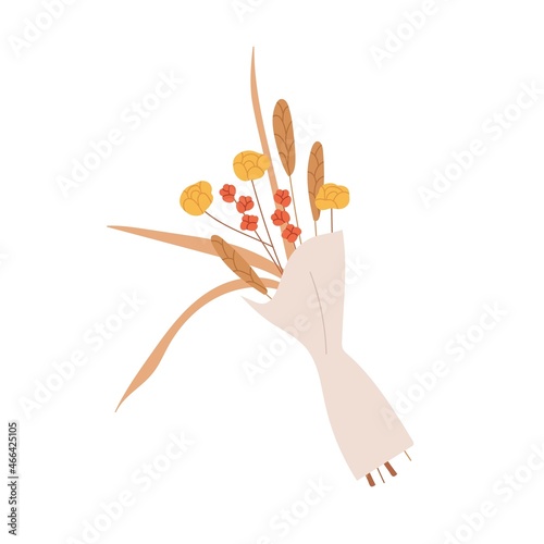 Wild flowers bunch. Floral bouquet of cut wildflowers wrapped in paper. Posy of meadow and field blooming plants, spikelets as gift. Colored flat vector illustration isolated on white background