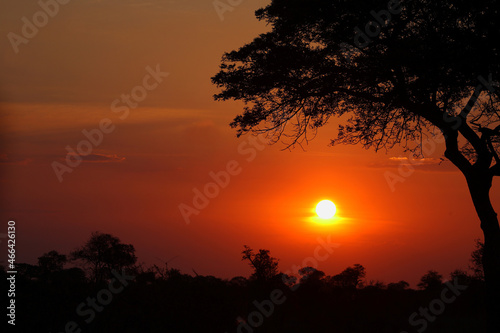 Sonnenuntergang Kr  ger Park S  dafrika   Sundown Kruger Park South Africa  