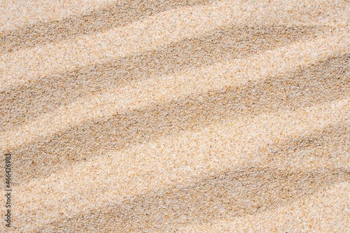 Sand texture. Sandy beach for background. Top view