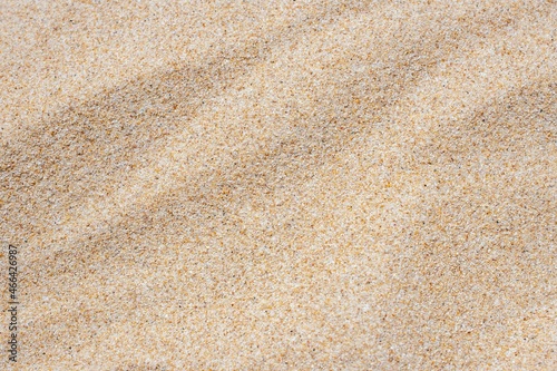 Sand texture. Sandy beach for background. Top view