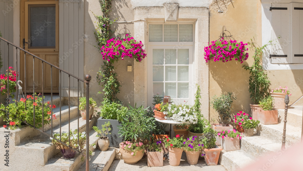 Flowers in front of a house in Provence, France