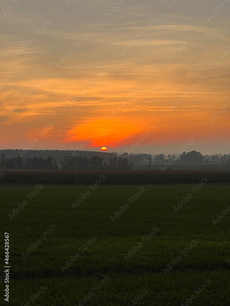 Sonnenuntergang an einem Herbstabend. Die Farben im Herbst sind immer wieder atemberaubend.
Herbstfarben, Herbststimmung