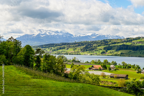 Gelfingen, Hitzkirch, Weinberg, Obstbäume, Baldeggersee, Seetal, Schloss Heidegg, Wanderweg, Landwirtschaft, Spazierweg, Frühling, Schweiz