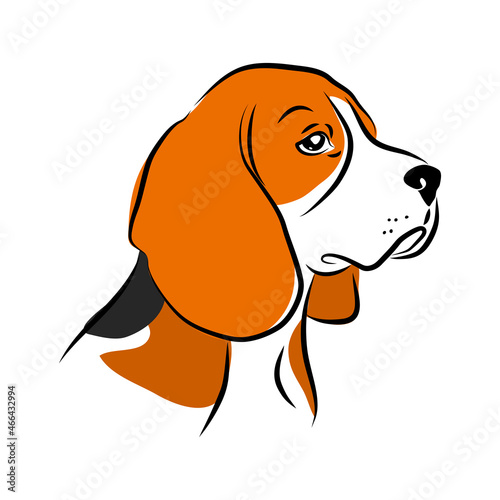 vector color beagle head, logo purebred pet, red white black dog portrait, companion and animal friendship, realistic simple face
