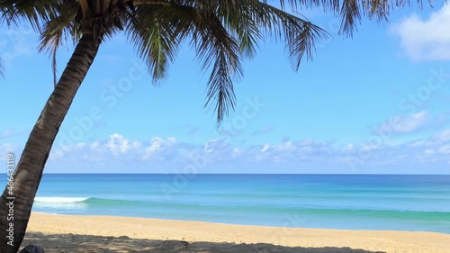 Palm trees on the tropical beach of Phuket, Thailand