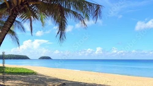 Palm trees on the tropical beach of Phuket, Thailand