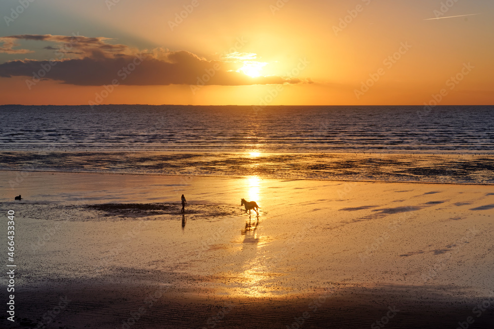 Woman and horse alone in the beach. Cotentin coast