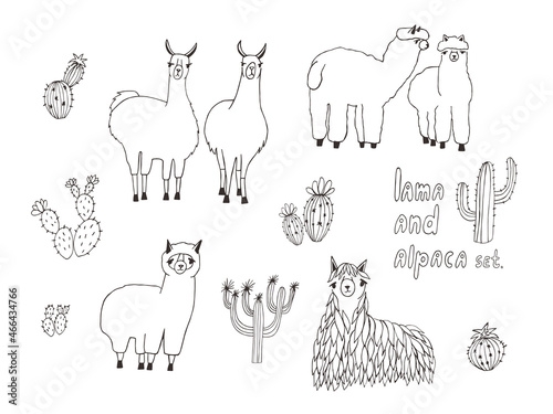Cute Lama  Alpaca and cactuses set. Hand drawn vector illustration