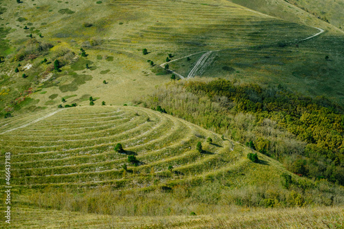 Landscape with terraces of trees on the Markoth ridge in Gelendzhik. photo