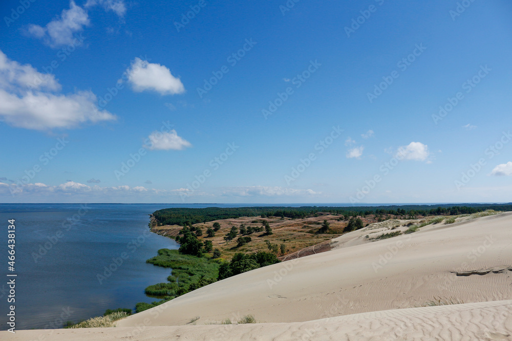 View of the Curonian Spit in the heights of a sand dune on a sunny summer day