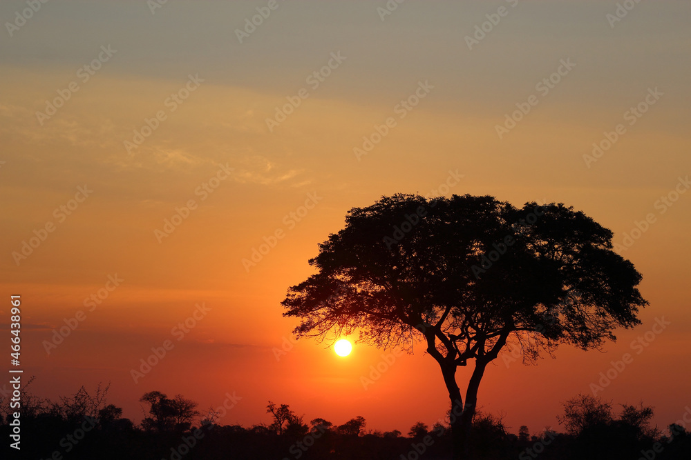 Sonnenuntergang Krüger Park Südafrika / Sundown Kruger Park South Africa /