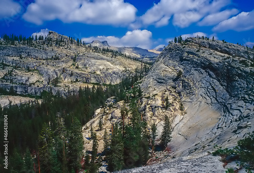 Yosemite National Park