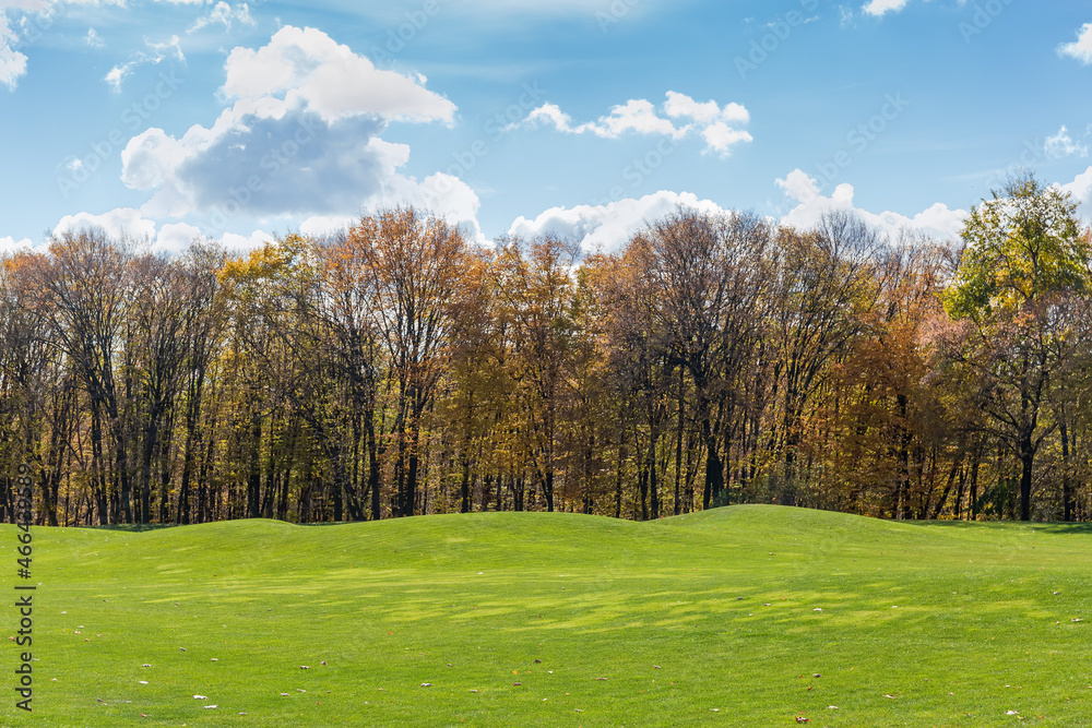 Glade in autumn park with forest on a background, backlit