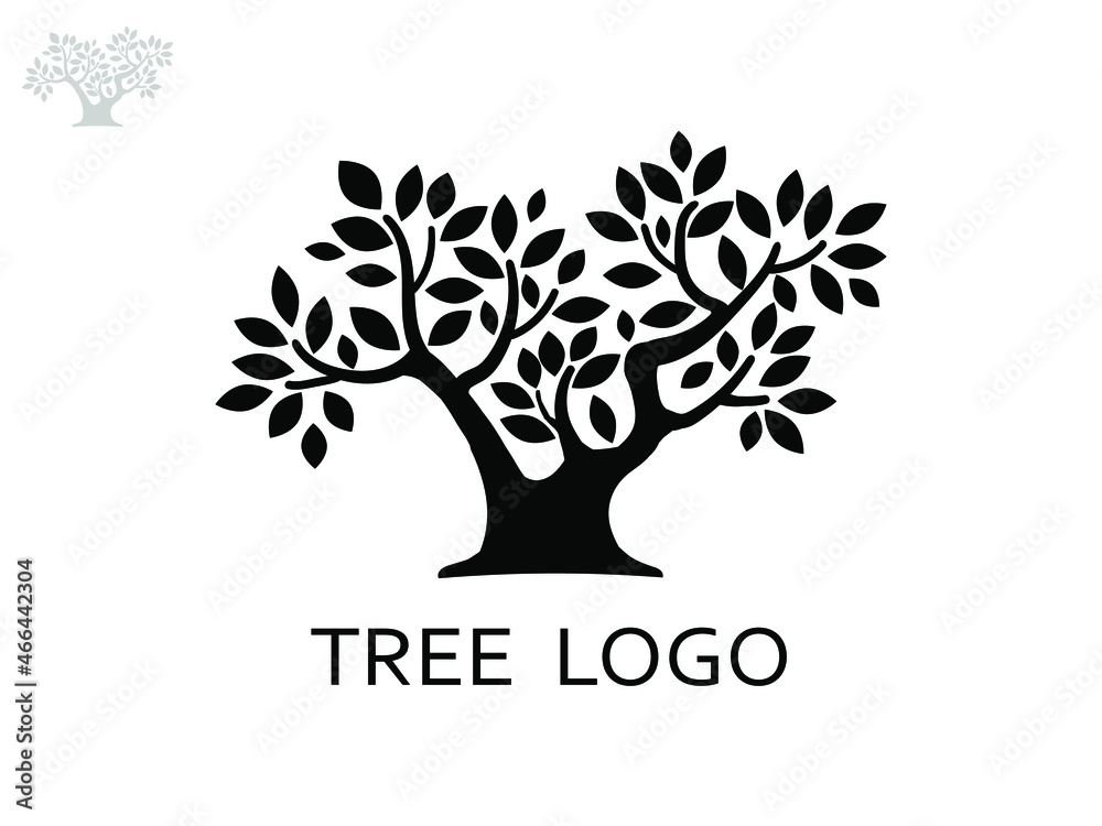 Obraz premium tree with leaves