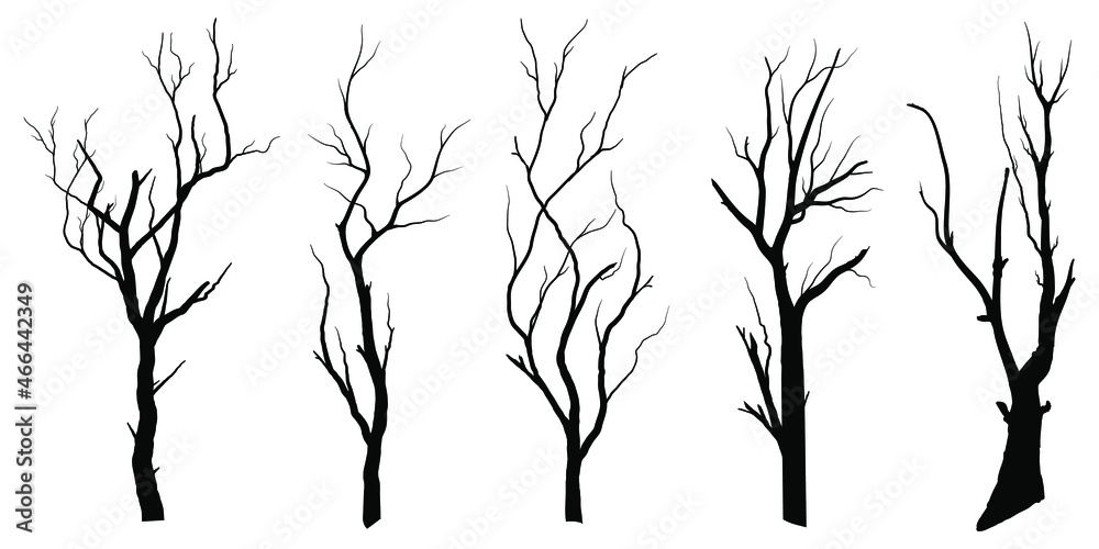 Naklejka premium Collection Black Branch Tree or Naked trees silhouettes. Hand drawn isolated illustrations.