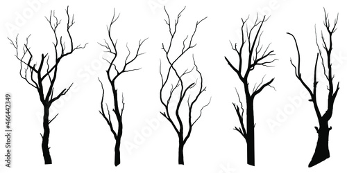 Collection Black Branch Tree or Naked trees silhouettes. Hand drawn isolated illustrations.