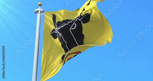 Canton of Uri Flag, Switzerland. Loop