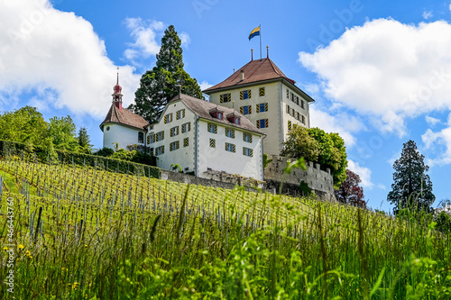 Gelfingen, Schloss Heidegg, Hitzkirch, Weinberg, Rosengarten, Schlosspark, Kapelle, Baldeggersee, Seetal, Wanderweg, Landwirtschaft, Spazierweg, Frühling, Luzern, Schweiz photo