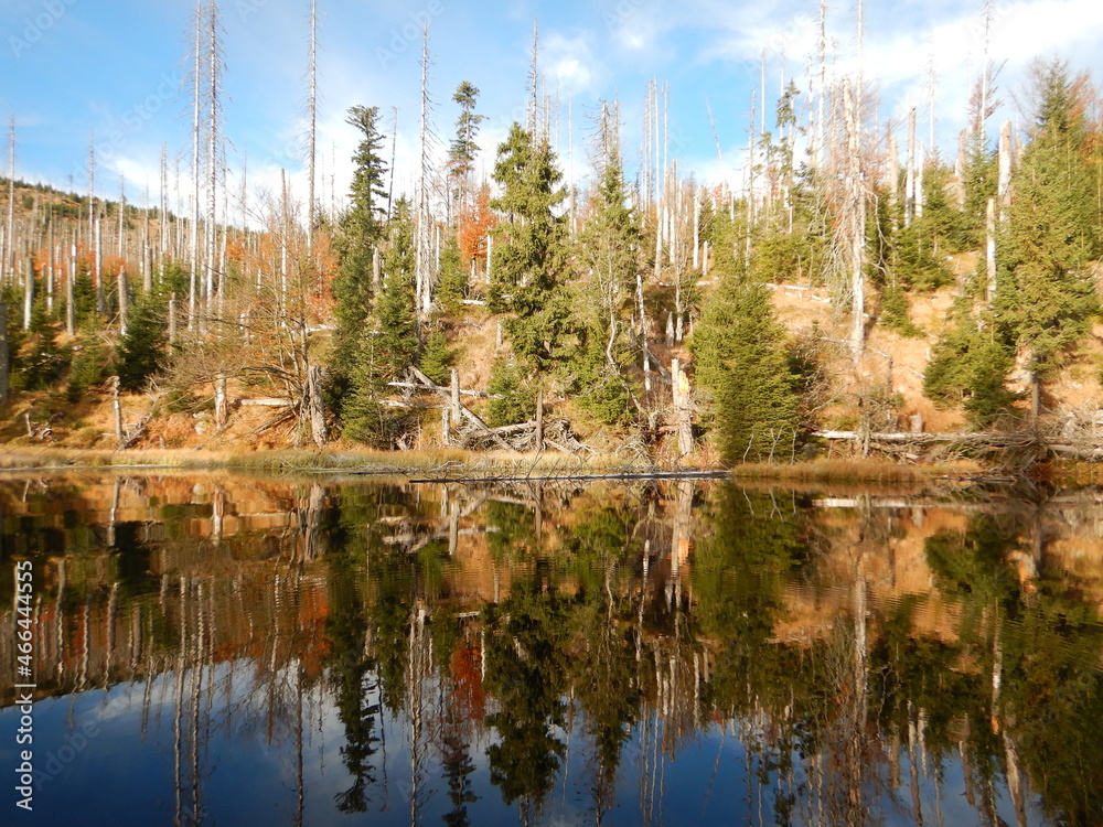 Lake Laka with floating islands on the surface is the smallest