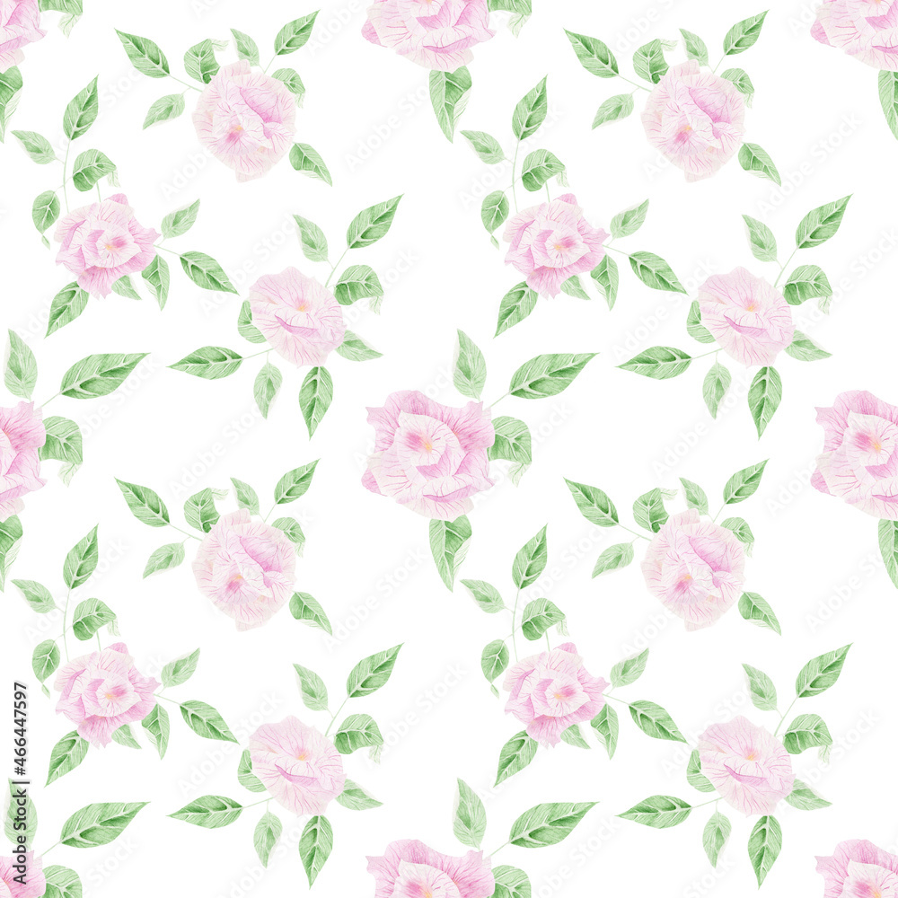 Delicate pink rose. Watercolor illustration for congratulations, invitations. Seamless pattern.