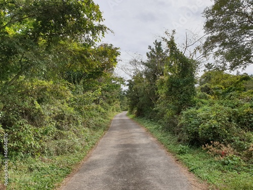 Road
