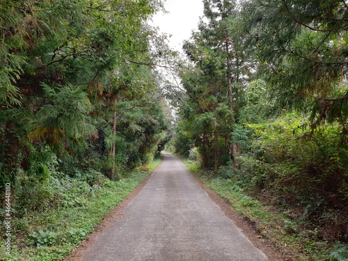Road