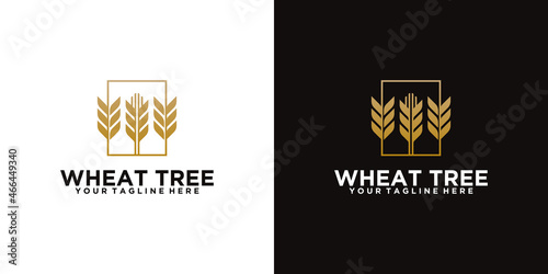 three wheat trees with square frame and business card inspiration