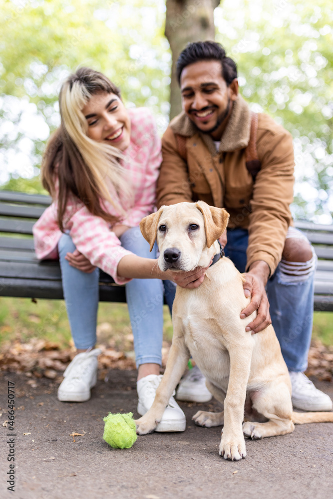 Cheerful young couple stroking dog in public park Cheerful young couple stroking dog in public park