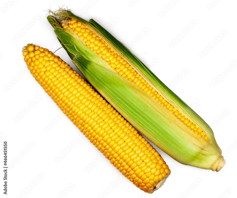 Corn isolated on a white background, top view Corn isolated on a white background, top view