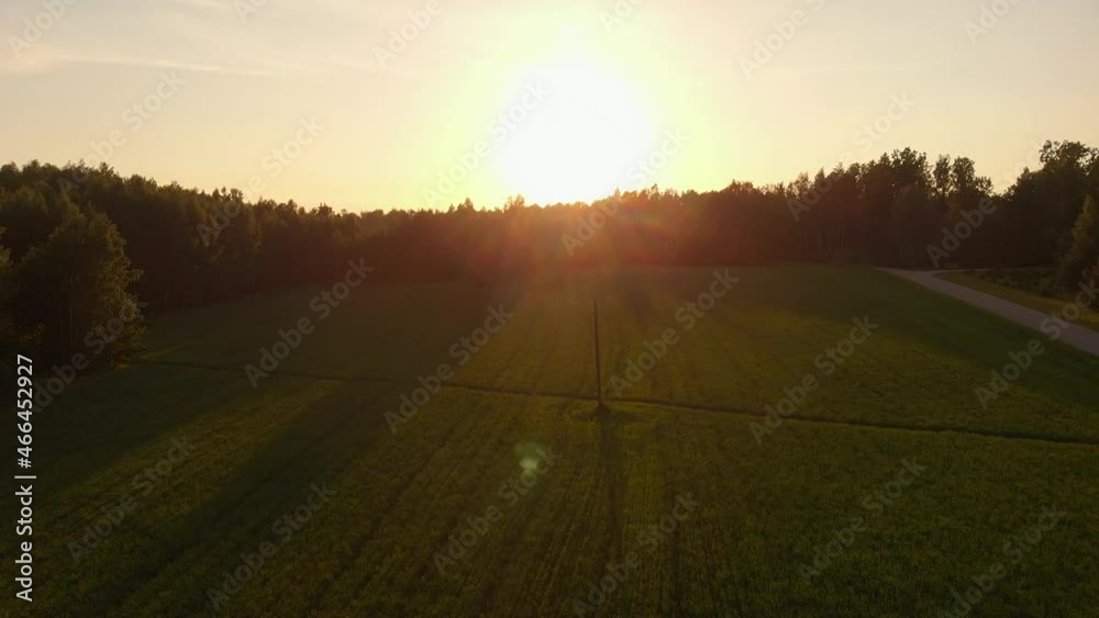Agriculture field with crops during golden sunset, low altitude drone flying and ascend Agriculture field with crops during golden sunset, low altitude drone flying and ascend
