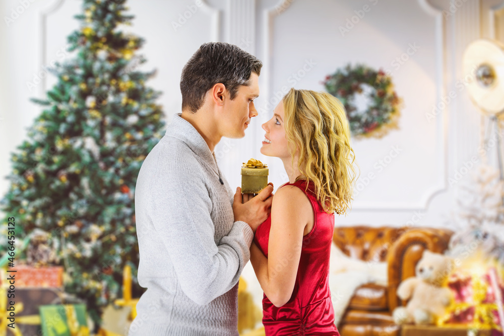 Portrait of two people shocked woman and her man give christmas gift package close eyes prepare x-mas surprise in house with noel decoration indoors Portrait of two people shocked woman and her man give christmas gift package close eyes prepare x-mas surprise in house with noel decoration indoors